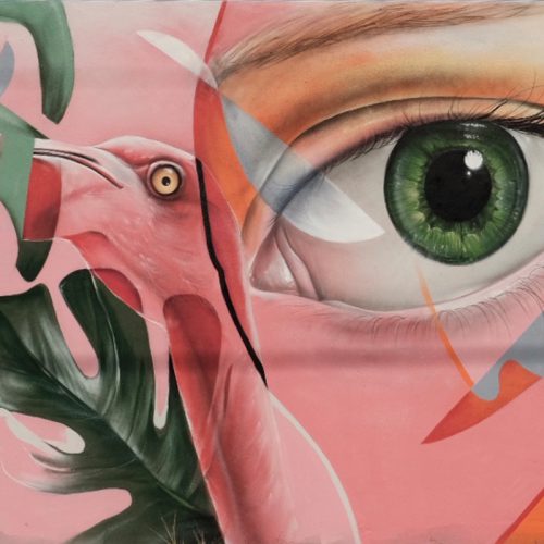 mural streetart graffiti flamingo eye miami